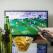 Gen Z Sports Betting