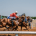 Research Horses, Jockeys, Trainers